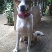 Mildred Aya-ay's photo