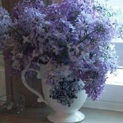 Brenda Philo's photo