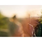 Pauline Gilles's photo