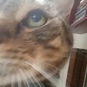 Jasmina Kosanovic's photo