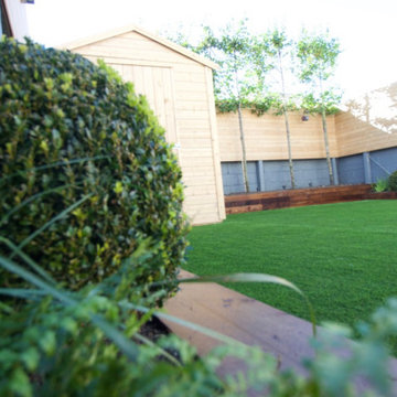 Lawn and Buxus