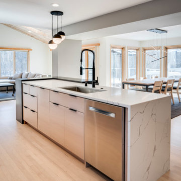 Minimalist Modern Kitchen
