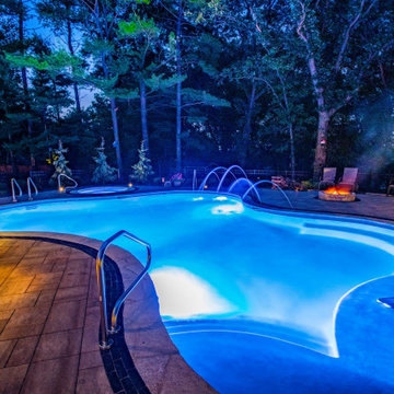 Oswego, IL Freeform Pool and Hot Tub