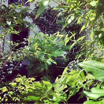 transformation d'un toit de garage en mini jardin suspendu au coeur du 10 ième
