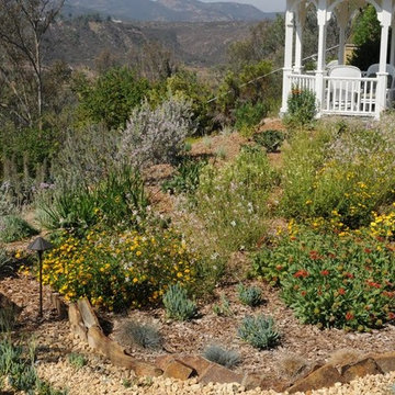 Eco Friendly Landscapes