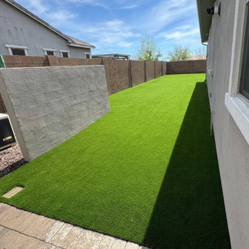 Backyard Redo in Phoenix