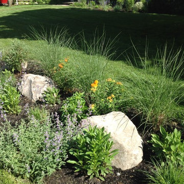 Natural Landscape Design with Native Plants in Suburban Scarsdale