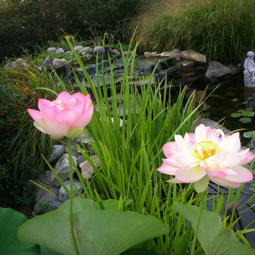 Troy Spiritual Garden