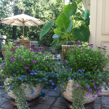 container gardens