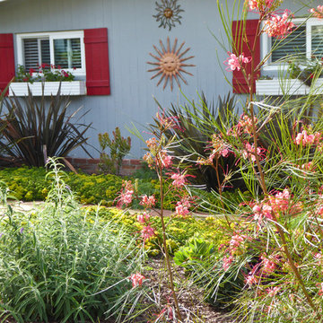 Another Lawn Bites the Dust - With Gusto