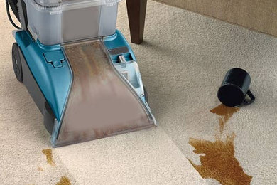 Fresh Carpet Cleaning Solution Melbourne