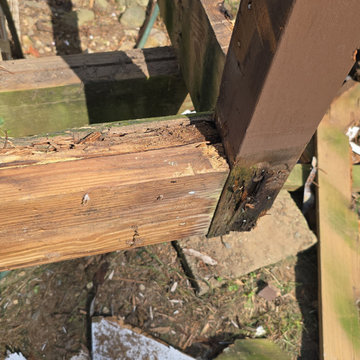 Deck Transformation with Trex Foggy Wharf