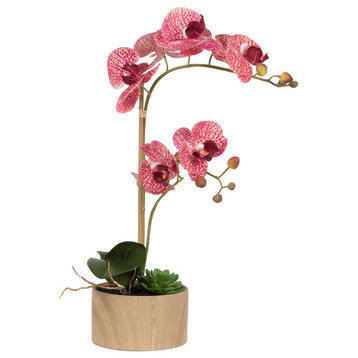 Vickerman 18" Mauve Orchid Arrangement