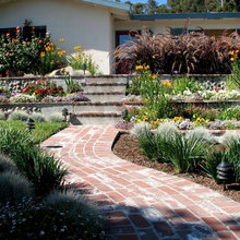 Backyard ideas