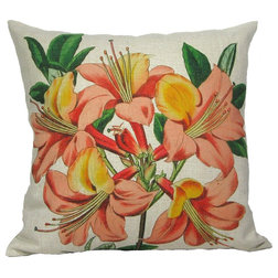 Traditional Decorative Pillows by Golden Hill Studio