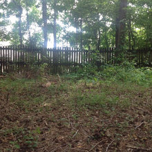 land