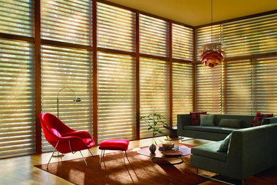 Living room - contemporary living room idea in New York