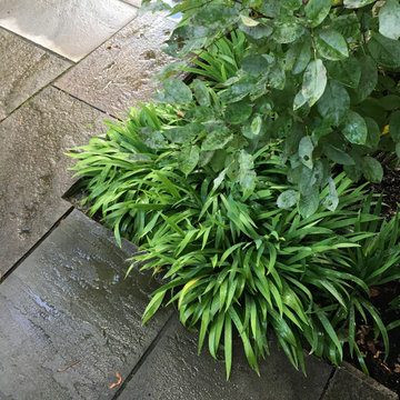 Pavements by GLA