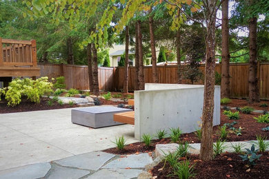 Design ideas for a modern backyard shaded garden in Seattle.