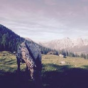 Ema Pris foto