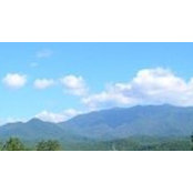 Liz Heiman's photo