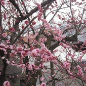 Denise Regilme's photo