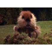 Bruce MacLean's photo