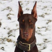Michele Praet's photo