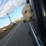 Jackie O'Connor's photo