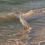 Kathy Ptasiuk's photo