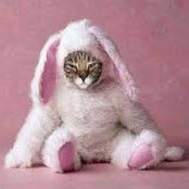 Tonya McPherrin's photo