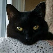 Sandy Cerini's photo
