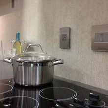 NS Lutron