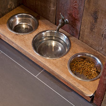 Dog Area