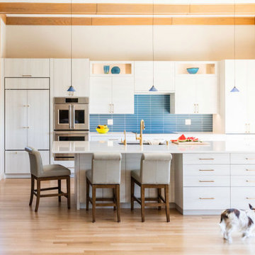 Blue Jay Contemporary