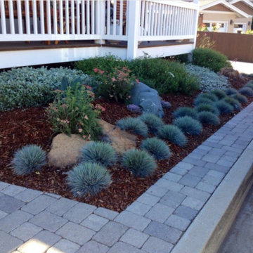 Our Work