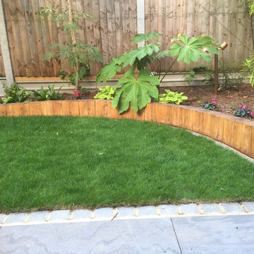 Jungle Garden
