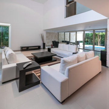 Modern Luxury Living Room - Interior Design - Living Room Remodeling