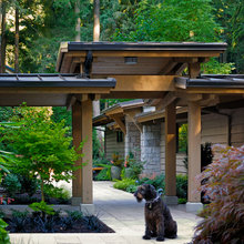 dog trot open area