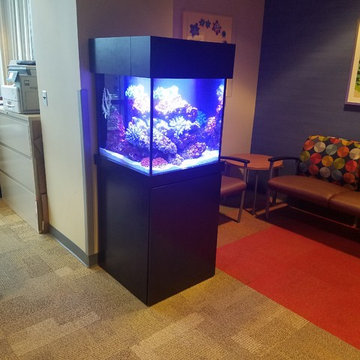 Free Standing Aquariums