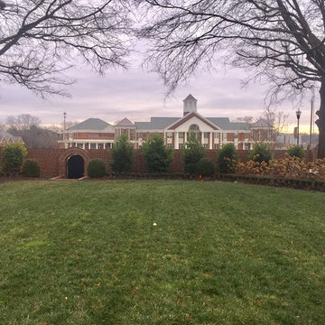 Privacy Hedge Cleveland, TN
