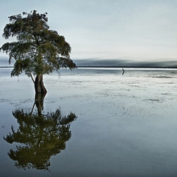 Landscapes - Artwork