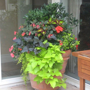 Bellevue Patio