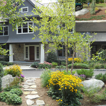 River birch trees frame the front door through the driveway island. A stepping s