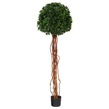 5.5' English Ivy Single Ball Faux Topiary Tree W/Natural Trunk Indoor/Outdoor
