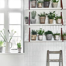 The Herb Garden