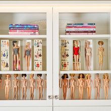 Barbie Shelf