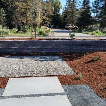 Drought Tolerant