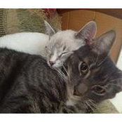 Andrea Pasco's photo