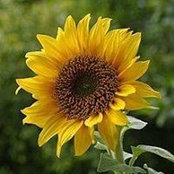 Clare Herbert's photo